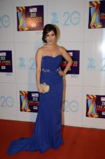 Sophie Chaudhary at Zee Awards red carpet in Mumbai on 6th Jan 2013,1 (52).JPG